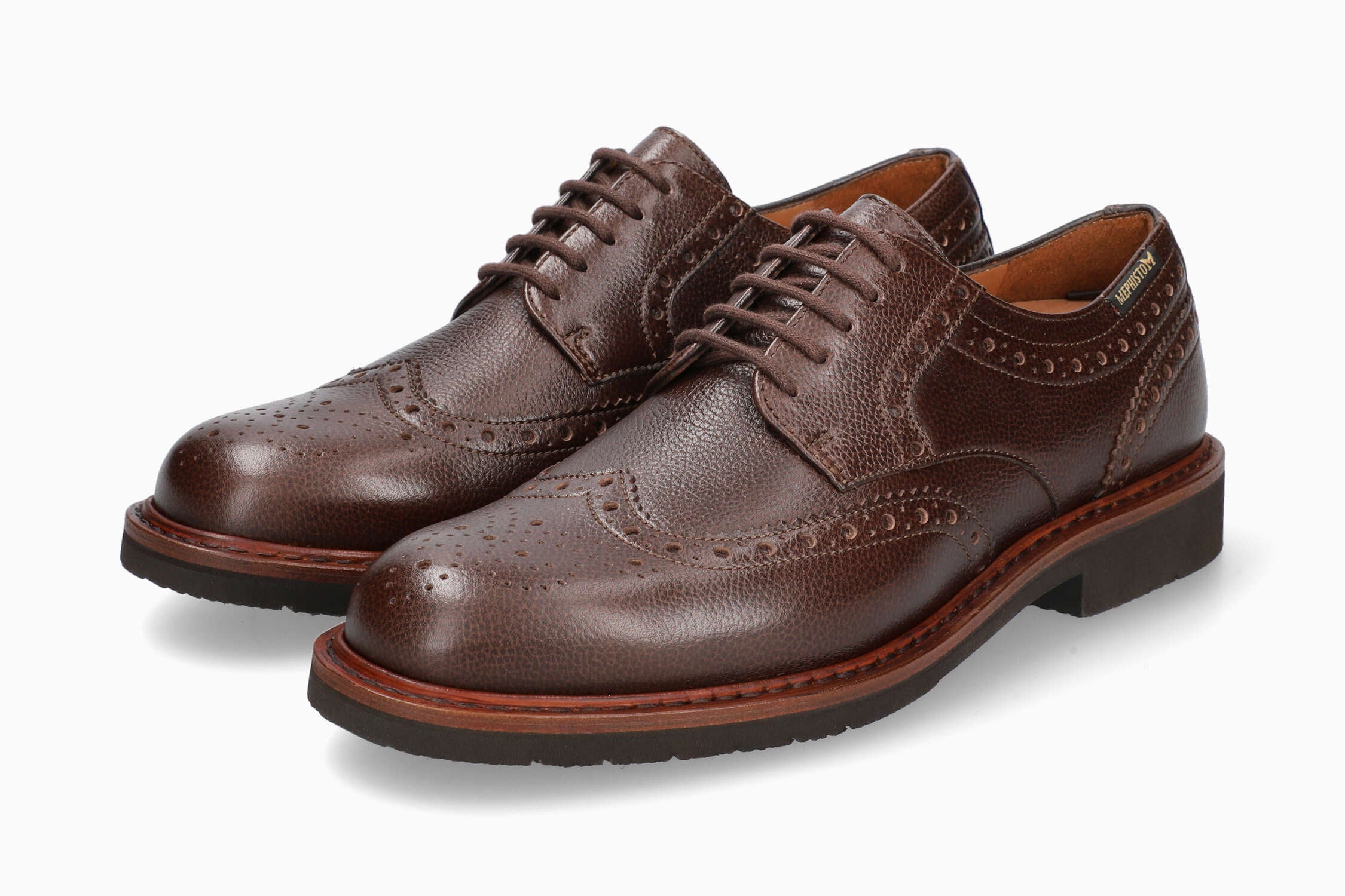 Max - Chestnut - Image 3